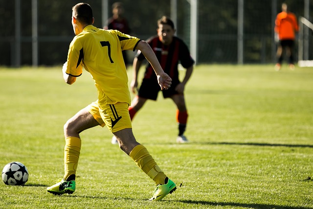 与其他海湾 与其他海湾
